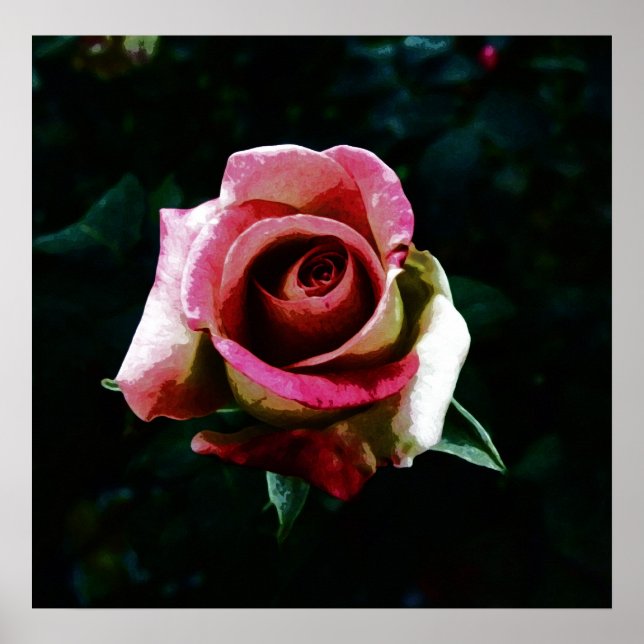 Poster Rose peint à l'huile (Devant)