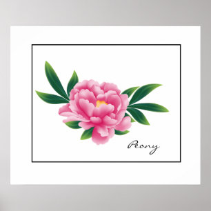 Poster rose Peony