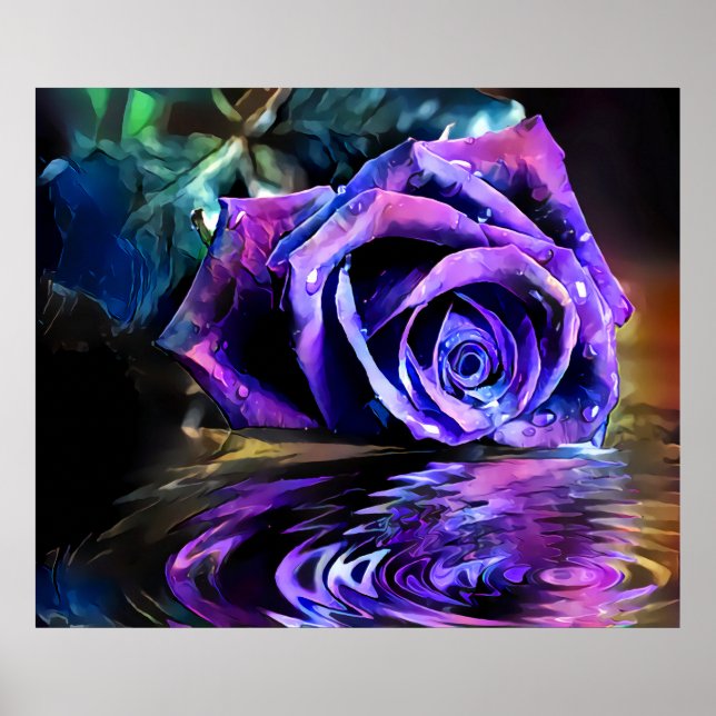 Poster Rose pourpre (Devant)