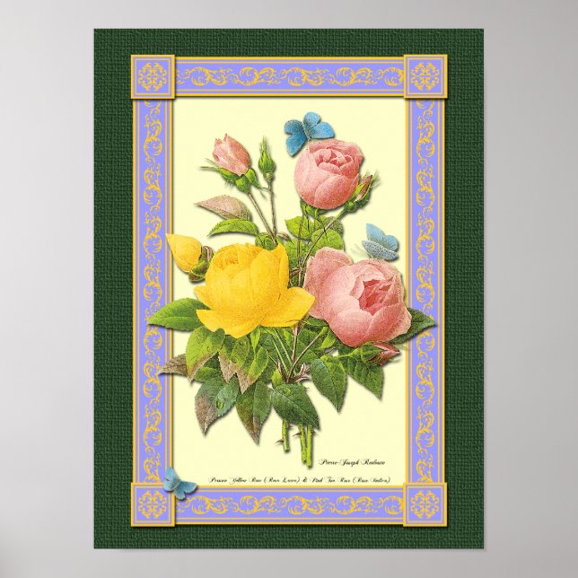 Poster Rose rose et jaune (Devant)