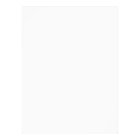 Rose Rose Gold Flowers 100e fête d'anniversaire