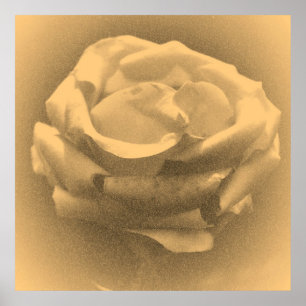 Poster Rose rose rose vintage