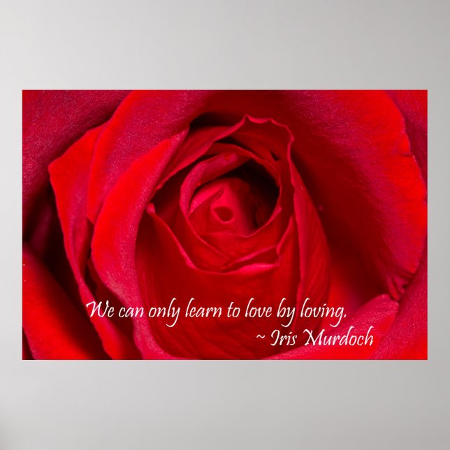 Poster Rose rouge (Devant)