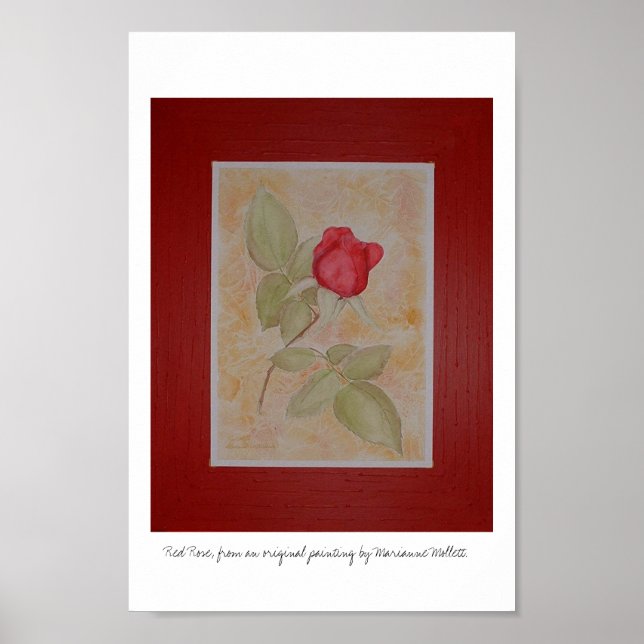 Poster Rose rouge (Devant)