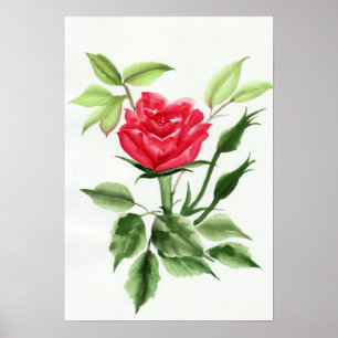 Poster Rose rouge