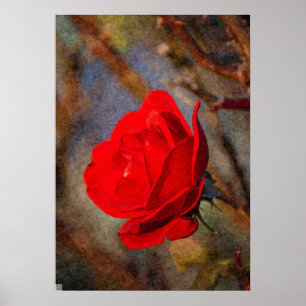 Poster Rose rouge