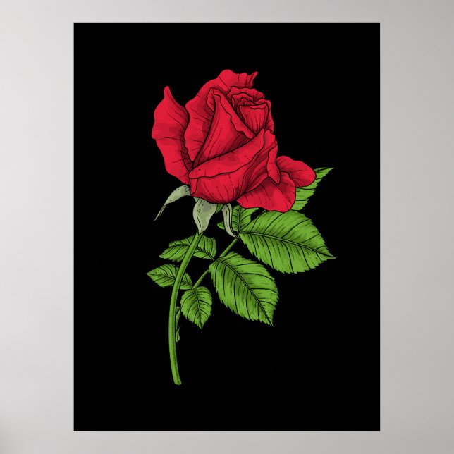 Poster Rose rouge (Devant)