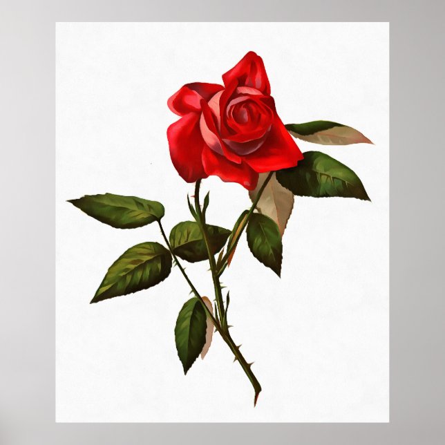 Poster Rose rouge à tige simple artistique (Devant)