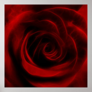 Poster Rose rouge profondeur d'amour