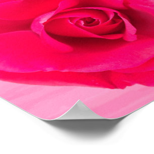 Poster Rose rouge romantique v2