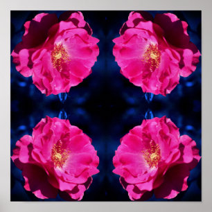 Poster Rose rouge sur la teinte bleue Fleur Abstraite