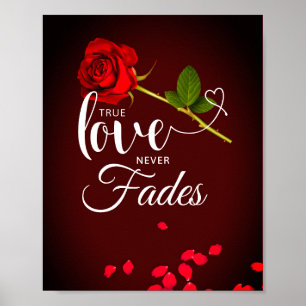 Poster Rose rouge Véritable amour ne s'estompe jamais