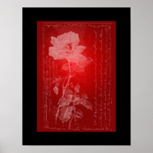 Poster Rose sur l'affiche rouge