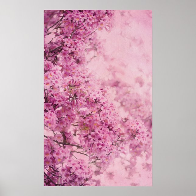 Poster Rose sur rose (Devant)