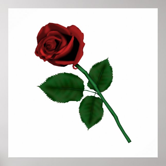 Poster Rose unique (Devant)