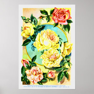 Poster Rose Vintage Flower Seed