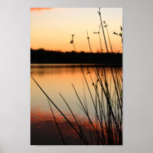 Roseaux et reflets au bord du lac au coucher du so
