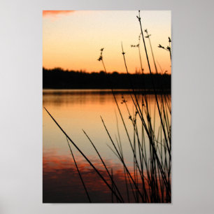Poster Roseaux et reflets au bord du lac au coucher du so