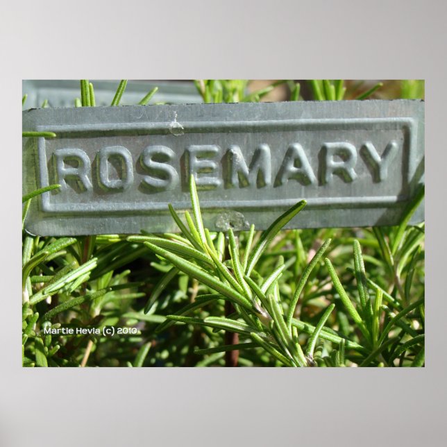 Poster Rosemary (Devant)