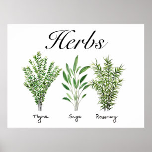 Poster Rosemary Herbes de Sage de thym Cuisine culinaire 