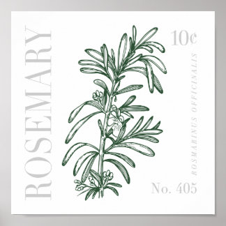 Poster Rosemary vintage