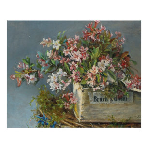 Poster Roses alpins dans une boîte à fenêtre - Andreas La