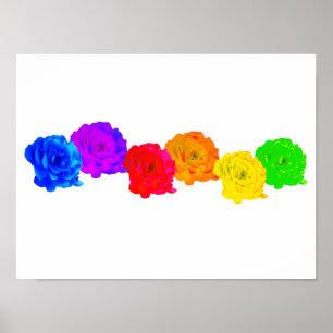 Poster Roses arc-en-ciel
