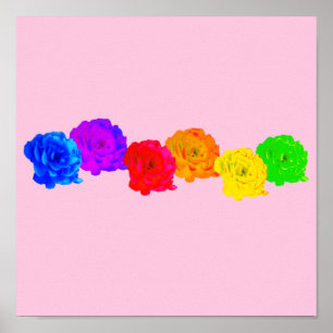 Poster Roses arc-en-ciel