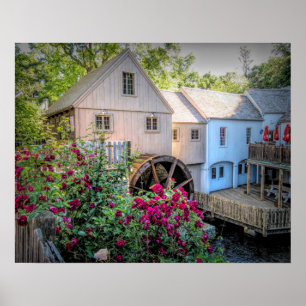 Poster Roses au moulin de blé à moudre de Plimoth