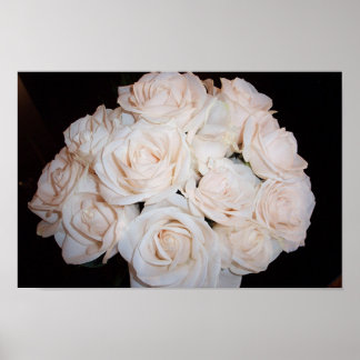 Poster Roses blanches