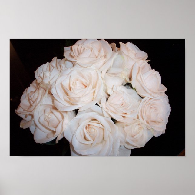 Poster Roses blanches (Devant)