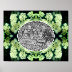 Poster Roses Blanches Sauvages Prolixes Créez Votre Propr