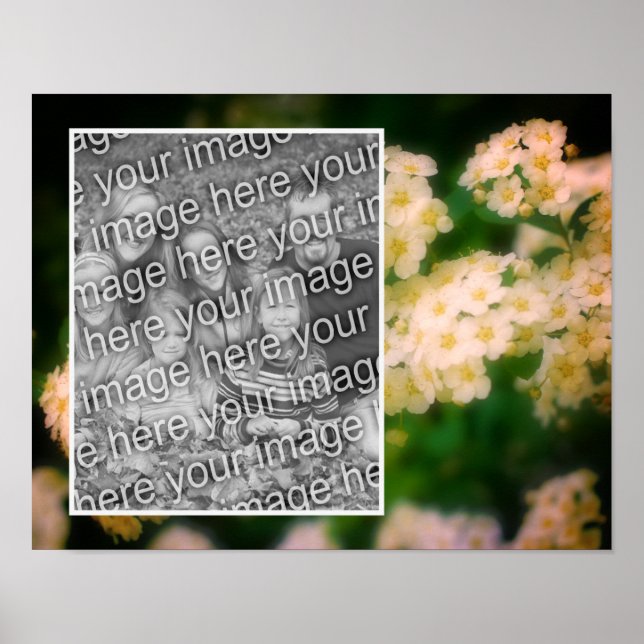 Poster Roses Blanches Sauvages Roulants Ajouter Votre Pho (Devant)