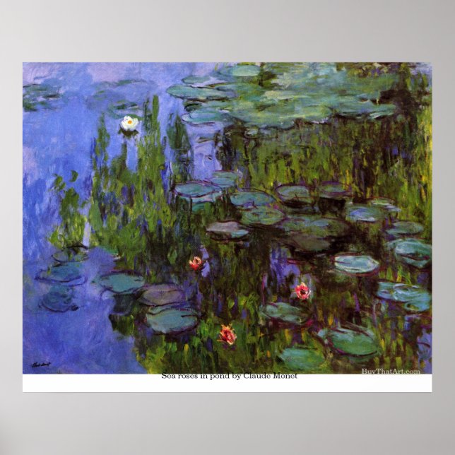 Poster Roses de mer dans un étang par Claude Monet (Devant)