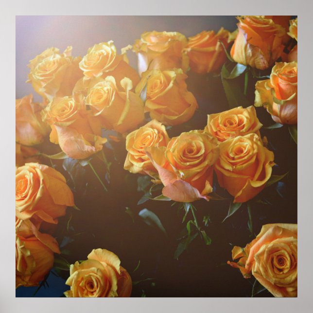 Poster Roses jaunes (Devant)