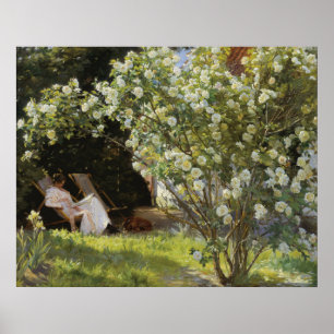 Poster Roses. Marie Krøyer assise dans la chaise longue