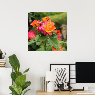 Poster Roses Rose Jaune Imprimer