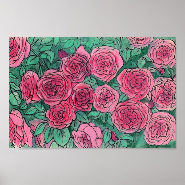Poster Roses roses, Fleurs Roses Jardin Art Floral Croqui (Devant)