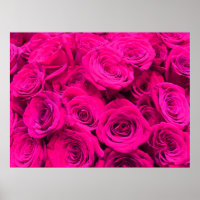 Roses roses rose fleurs rose rose rose floral rose