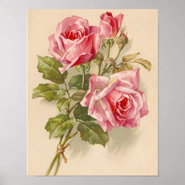 Poster Roses roses vintages (Devant)