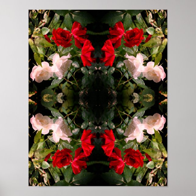 Poster Roses Rouge et Blanc trempés Abstraits (Devant)