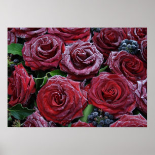 Poster Roses Rouge Foncé Froides Sur Une Grave
