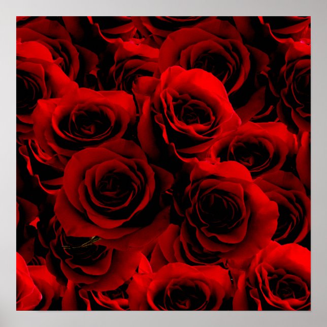Poster Roses rouges foncées pour vous (Devant)