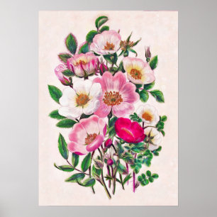 Poster Roses sauvages