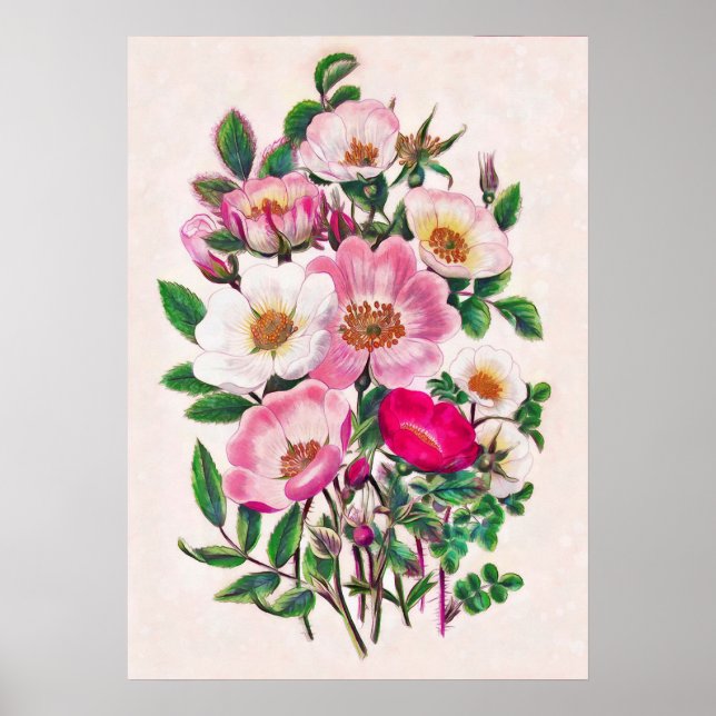 Poster Roses sauvages (Devant)