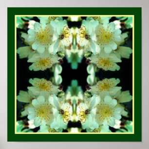 Poster Roses Sauvages Blanches Grimpantes Art Floral Abst
