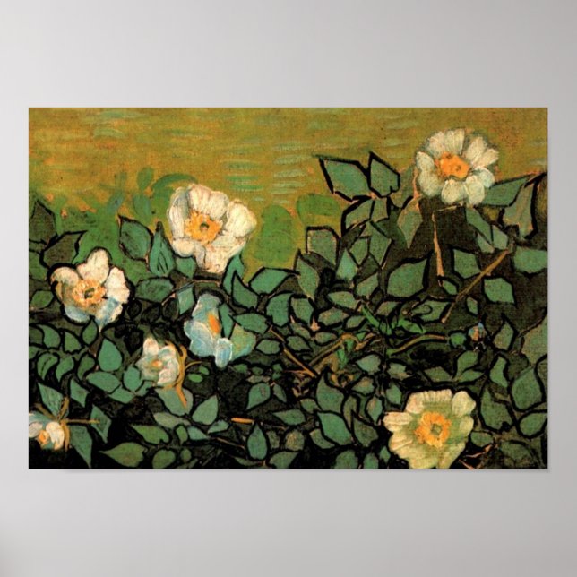 Poster Roses sauvages (F597) Van Gogh Fine Art (Devant)