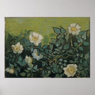 Poster Roses sauvages par Vincent Van Gogh