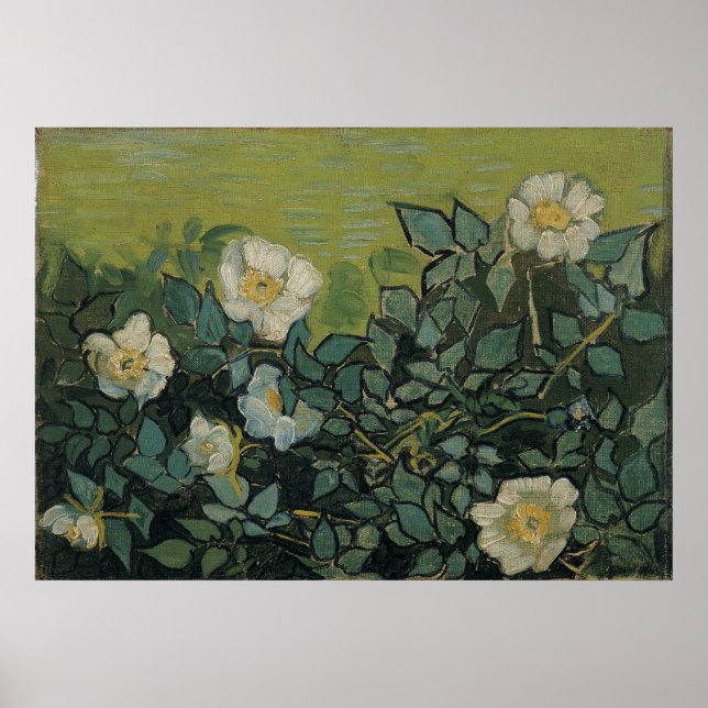 Poster Roses sauvages par Vincent Van Gogh (Devant)