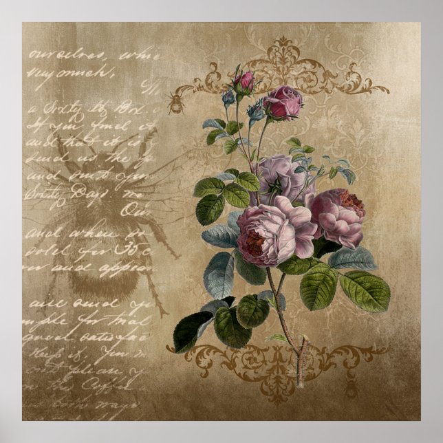 Poster Roses vintages (Devant)